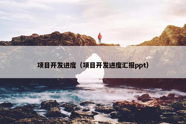 项目开发进度（项目开发进度汇报ppt）