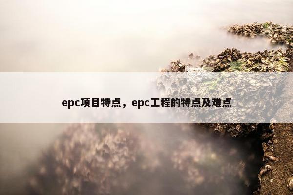 epc项目特点，epc工程的特点及难点