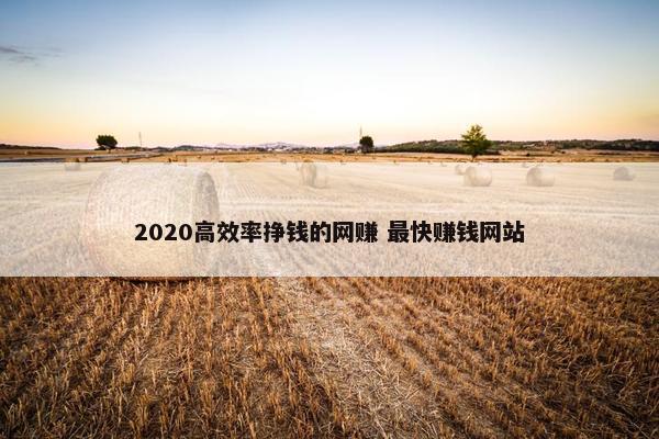 2020高效率挣钱的网赚 最快赚钱网站