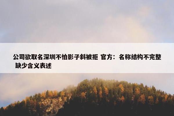 公司欲取名深圳不怕影子斜被拒 官方：名称结构不完整 缺少含义表述