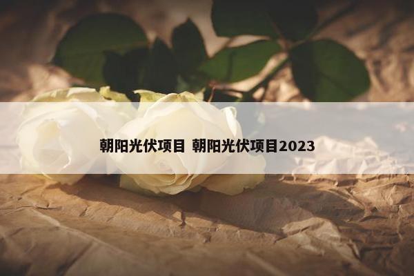 朝阳光伏项目 朝阳光伏项目2023