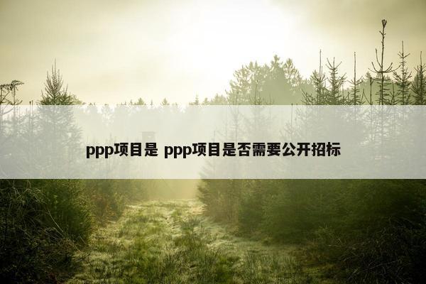 ppp项目是 ppp项目是否需要公开招标
