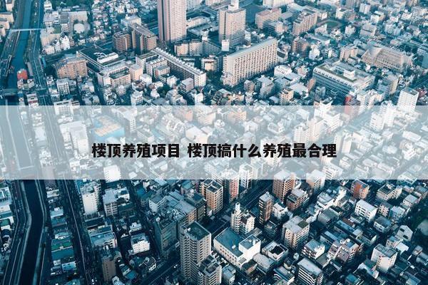 楼顶养殖项目 楼顶搞什么养殖最合理