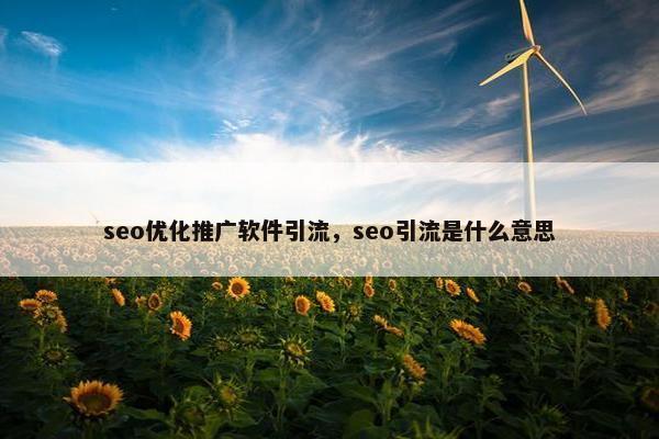 seo优化推广软件引流，seo引流是什么意思