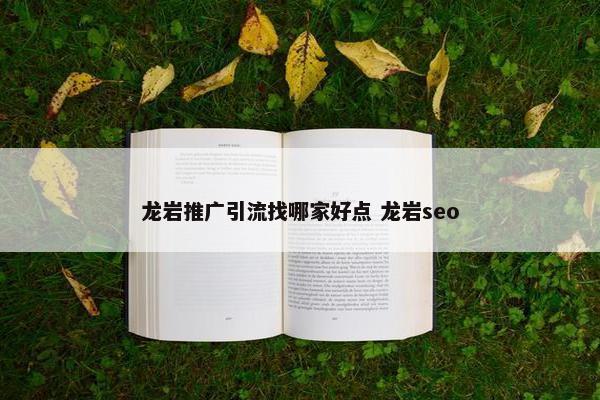 龙岩推广引流找哪家好点 龙岩seo