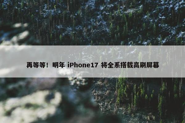 再等等！明年 iPhone17 将全系搭载高刷屏幕