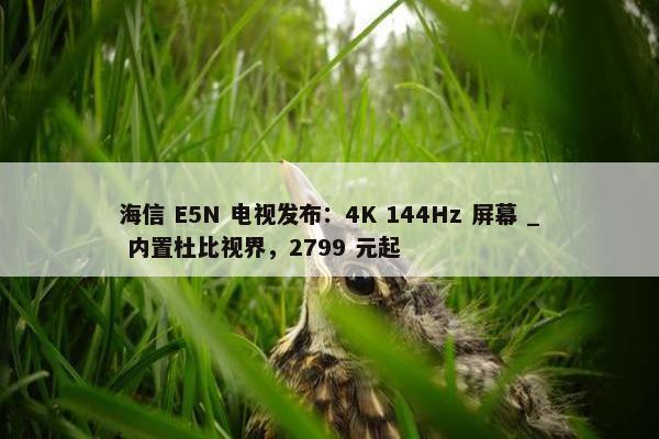 海信 E5N 电视发布：4K 144Hz 屏幕 _ 内置杜比视界，2799 元起