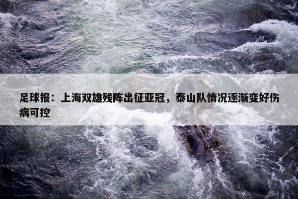 足球报：上海双雄残阵出征亚冠，泰山队情况逐渐变好伤病可控