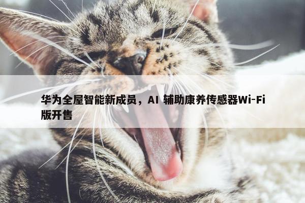 华为全屋智能新成员，AI 辅助康养传感器Wi-Fi版开售