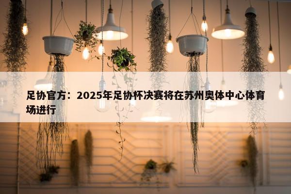 足协官方：2025年足协杯决赛将在苏州奥体中心体育场进行