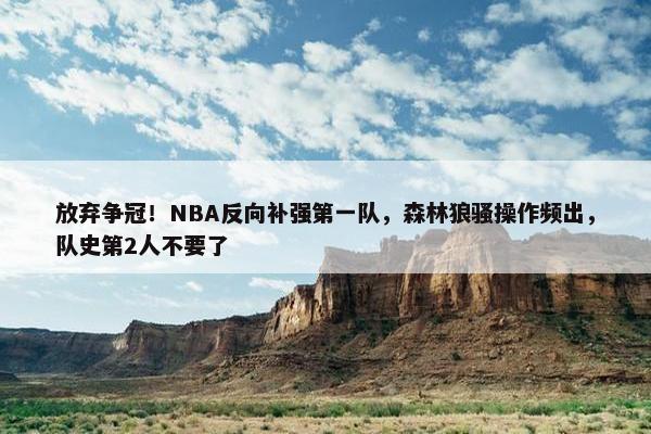 放弃争冠！NBA反向补强第一队，森林狼骚操作频出，队史第2人不要了