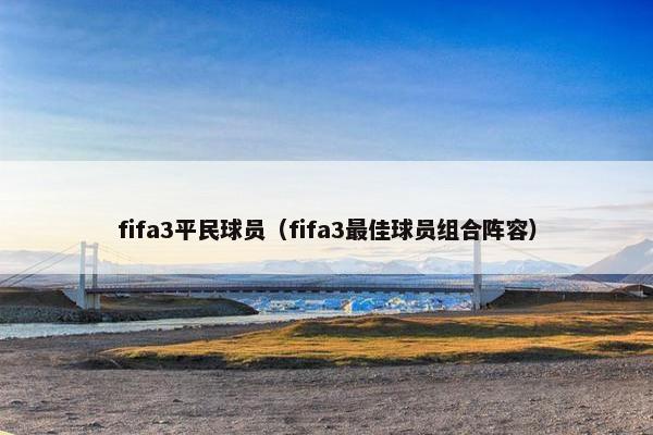 fifa3平民球员（fifa3最佳球员组合阵容）