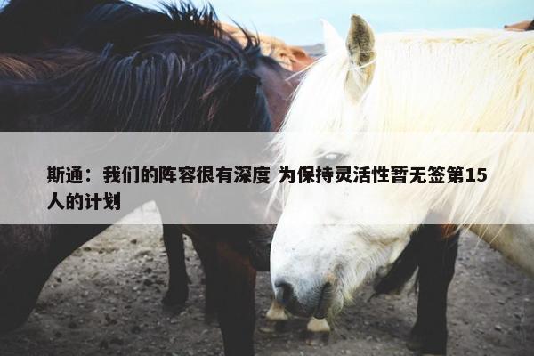 斯通：我们的阵容很有深度 为保持灵活性暂无签第15人的计划