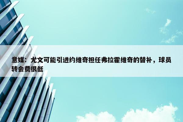 意媒：尤文可能引进约维奇担任弗拉霍维奇的替补，球员转会费很低