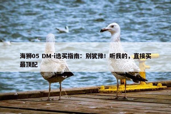 海狮05 DM-i选买指南：别犹豫！听我的，直接买最顶配