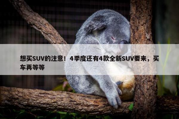 想买SUV的注意！4季度还有4款全新SUV要来，买车再等等