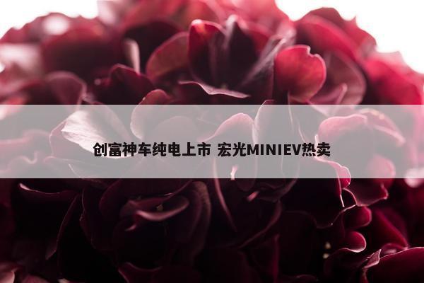 创富神车纯电上市 宏光MINIEV热卖