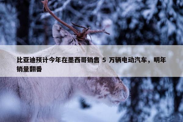 比亚迪预计今年在墨西哥销售 5 万辆电动汽车，明年销量翻番