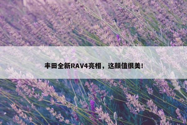 丰田全新RAV4亮相，这颜值很美！