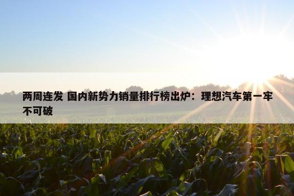 两周连发 国内新势力销量排行榜出炉：理想汽车第一牢不可破